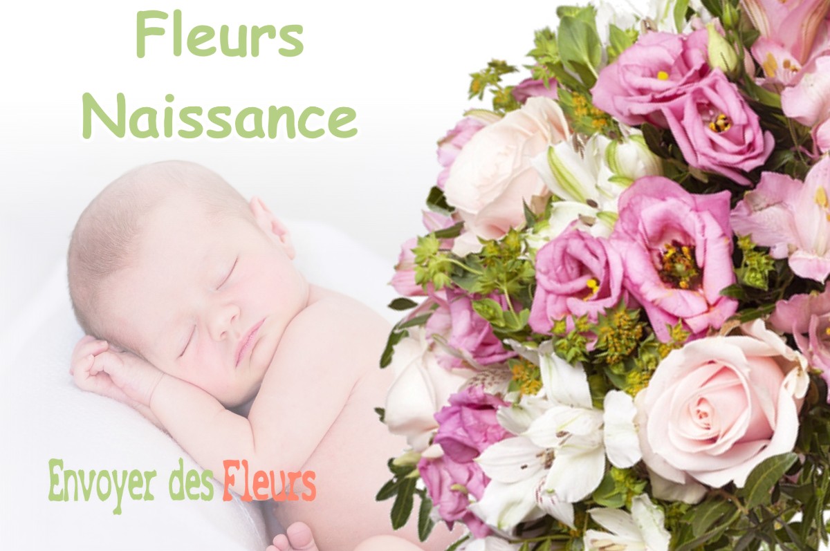 lIVRAISON FLEURS NAISSANCE à BEAULIEU-SUR-LOIRE